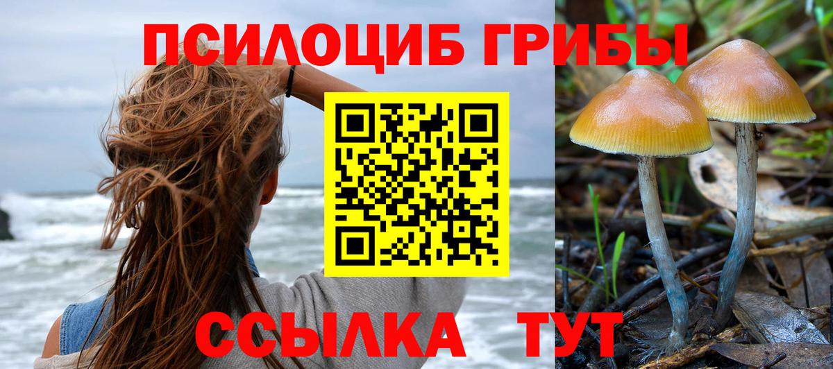 Галлюциногенные грибы Psilocybine cubensis Вольск