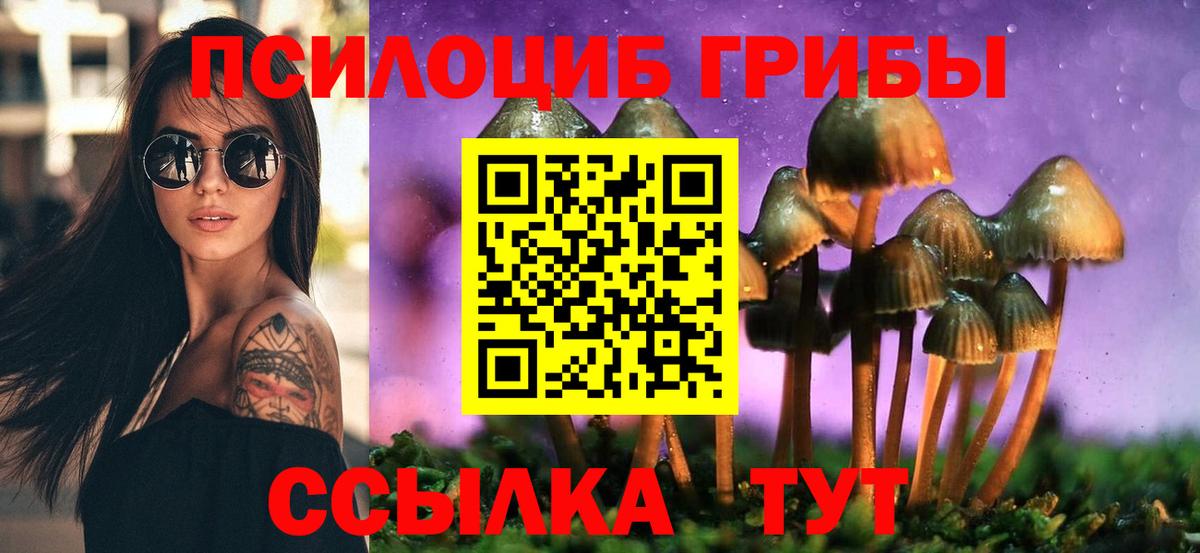 Галлюциногенные грибы ЛСД  Псилоцибиновые грибы Magic Shrooms  Вход с VPN  Вольск 